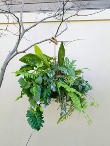 hanging kokedama botanical greenery arrangement with rope 3