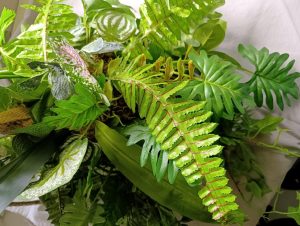 hanging kokedama botanical greenery arrangement with rope