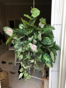 hanging kokedama botanical greenery arrangement with rope 5