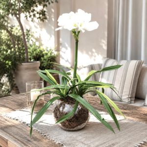 Botanical Arrangement