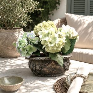Agapanthus Botanical Arrangement