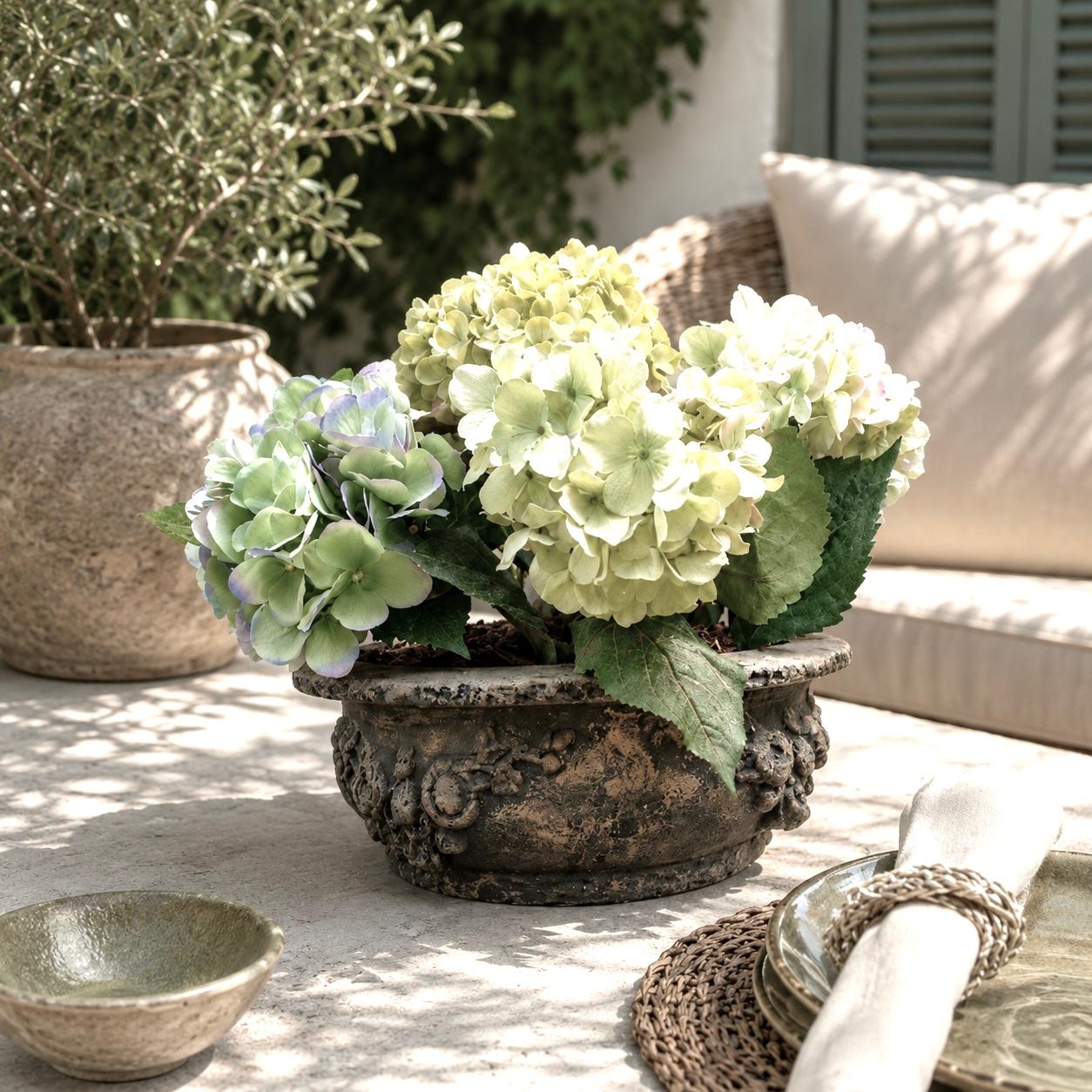 Agapanthus Botanical Arrangement